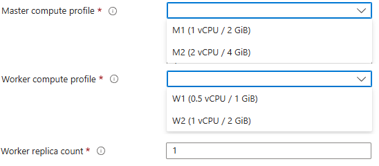 Master and worker compute profiles